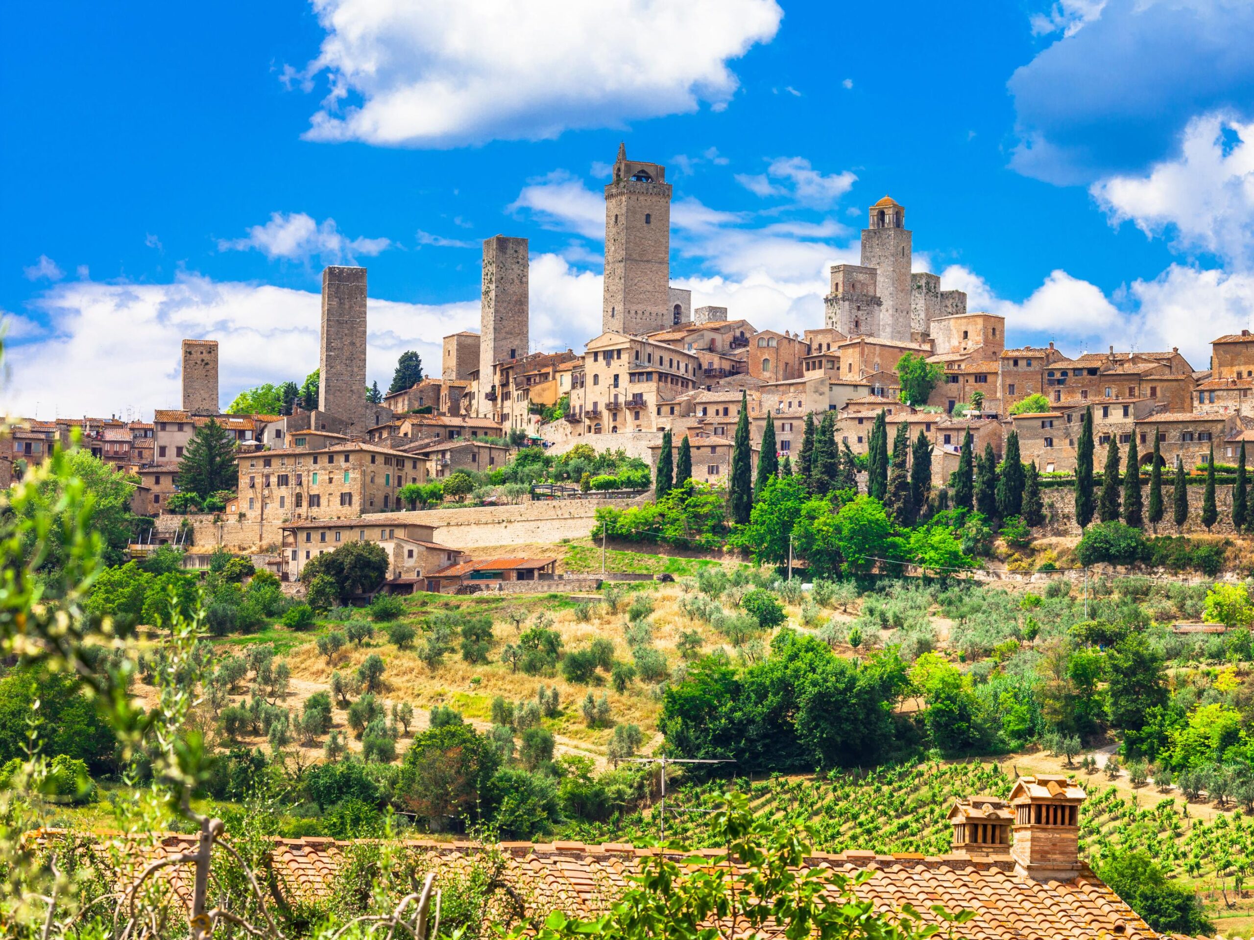 San Gimignano mit Weinbergen.